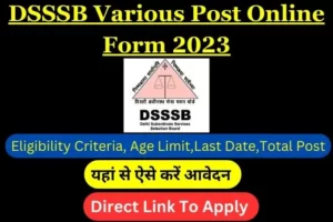 DSSSB Various Post Online Form 2023