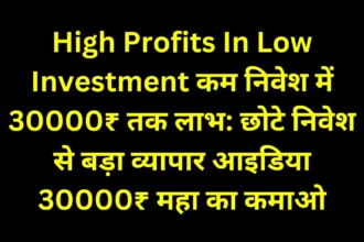 20231129 230911 0000 High Profits In Low Investment कम निवेश में उच्च लाभ: छोटे निवेश से बड़ा व्यापार आइडिया